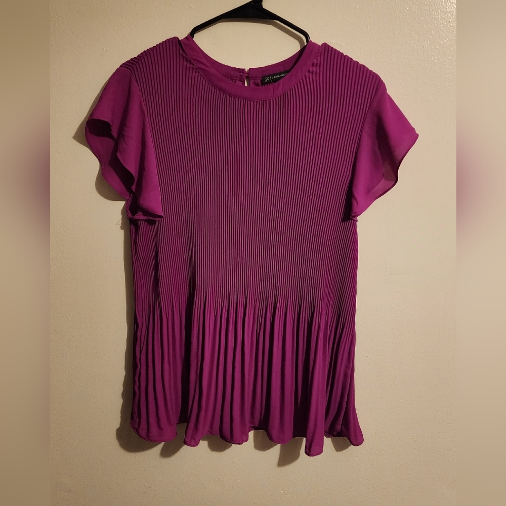 Adrianna Papell Pink Blouse